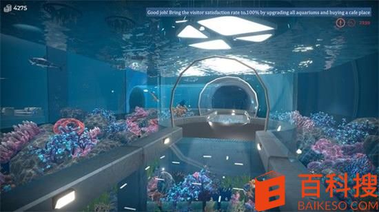 aquarist游戏好玩吗 模拟养鱼游戏aquarist多少钱